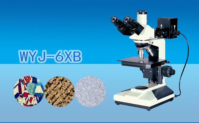 三目正置金相91视频网址免费WYJ-6XB