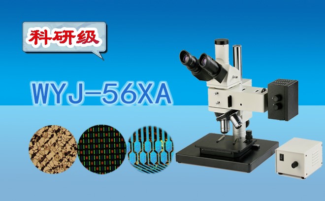 三目金相91视频网址免费WYJ-56XA