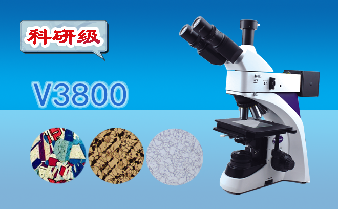 三目金相91视频网址免费V3800